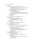 Quiz 1 – Lectures 1-5. Brainstorm. 1. Introduction: a. Natural Capital