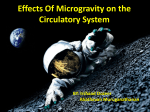 Effects Of Microgravity on the Circulatory System