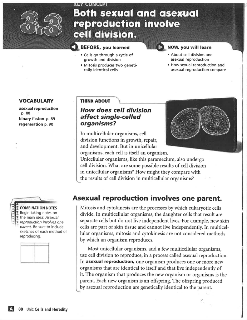Asexual Reproduction ¡nvolves One Parent. Asexual Reproduction ¡nvolves One Parent.