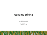 Genome Editing Slides