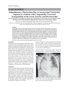 Subpulmonary Obstruction Due to Aneurysmal Ventricular Septum