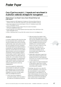 Carp (Cyprinus carpio L.) impacts and recruitment in Australian