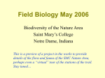 Field Biology May 2006