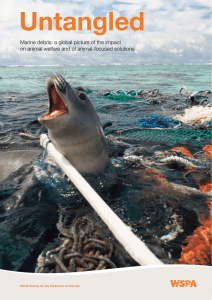 Marine debris: a global picture of the impact on