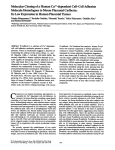 Molecular Cloning of a Human Ca2+-dependent Cell