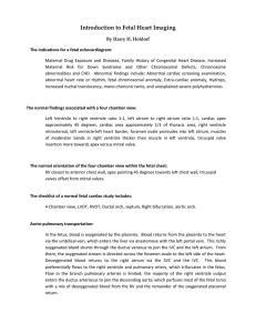Introduction to Fetal Heart Imaging