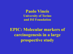 multilevel approach: contributions of molecular dosimetry