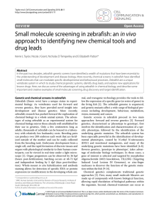 Small molecule screening in zebrafish