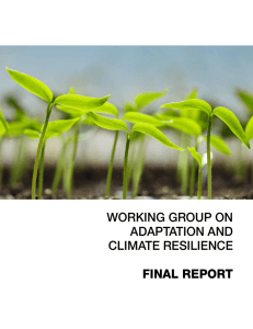 working group on adaptation and climate resilience final report