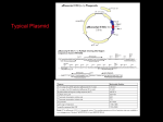 Chapter 11 Transcription and RNA Processing