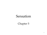 Chapter 05
