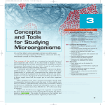 Concepts and Tools for Studying Microorganisms