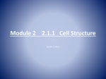 Module 2 2.1.1 Cell Structure