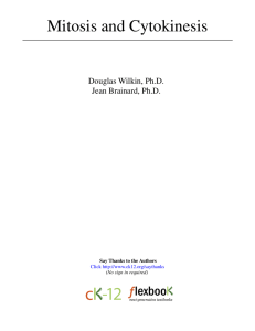 02 Mitosis and Cytokinesis