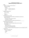 Connective and Muscle Tissues