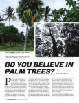Do you believe in palm trees?