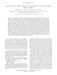 The Fusion Core Complex of the Peste des Petits Ruminants Virus Is