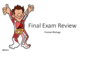 Final Exam Review - Milton