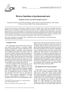 Diverse functions of perineuronal nets
