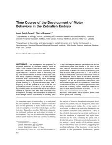 Time course of the development of motor behaviors in the zebrafish