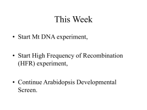 High Frequency of Recombination (Hfr)