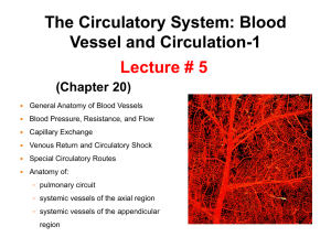 Blood Vessels - Dr. Justo Lopez Website