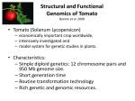 Structural and Functional Genomics of Tomato