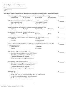 Chapter 2 quiz level - easy topic: neurons