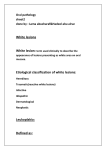 sheet#2 - DENTISTRY 2012