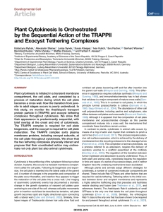 Plant Cytokinesis Is Orchestrated by the Sequential Action of the