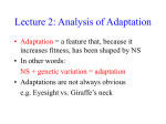 Lecture 2: Analysis of Adaptation