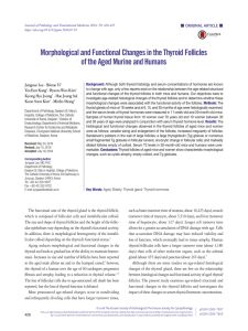 Morphological and Functional Changes in the Thyroid Follicles of