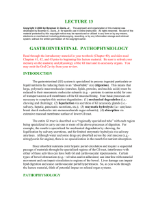 lecture 13 gastrointestinal pathophysiology