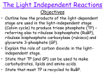 The_Light_Independent_Reactions