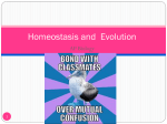 Homeostasis and Evolution