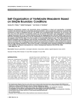 Self-Organization of Vertebrate Mesoderm Based on Simple