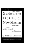 UNIVERSITY OF NEW MEXICO PRESS in cooperation with NEW