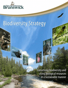 Biodiversity Strategy - Government of New Brunswick