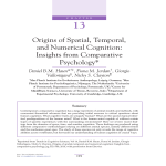 Origins of Spatial, Temporal, and Numerical Cognition: Insights from