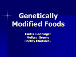 Genetically Modified Foods