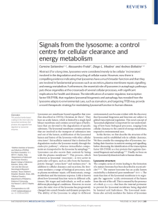 Signals from the lysosome: a control centre for cellular clearance