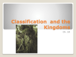 Classification and the Kingdoms
