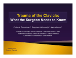 E2413 - Trauma of the Clavicle