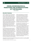 ORIGIN, BIOGEOGRAPHICAL MIGRATIONS AND