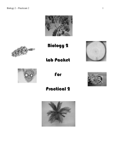 Lab 2 Packet