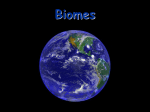 4.2 Biomes (pp. 91-108)