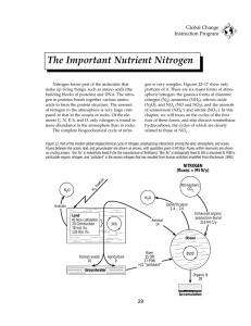 The Important Nutrient Nitrogen