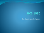 HCS 1080 Cardiovascular System Powerpoint