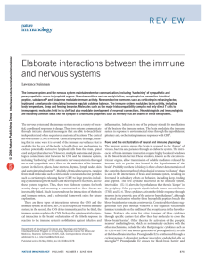 Elaborate interactions between the immune and nervous systems