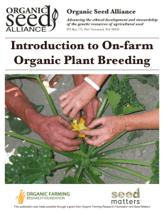 Introduction to On-farm Organic Plant Breeding